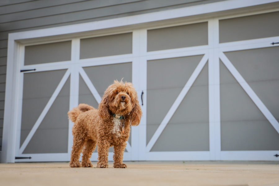 Garage Door Service by Texas Warriors Garage Door LLC